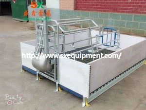 Schwäin Farrowing Crate vu Bauerenhaff